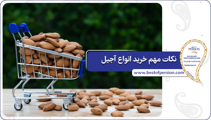 نکات مهم خرید انواع آجیل