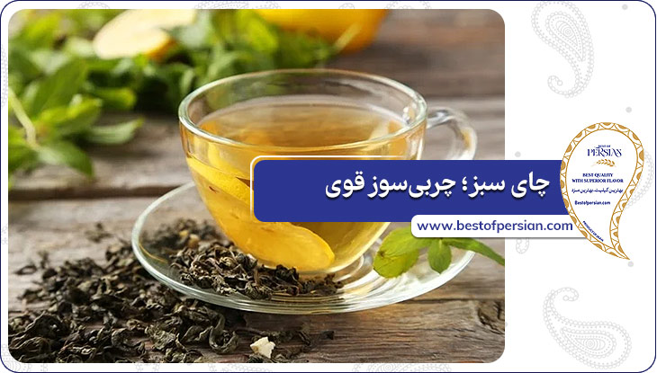 چای سبز؛ چربی‌سوز قوی