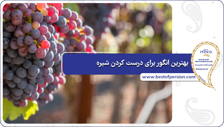 بهترین انگور برای درست کردن شیره