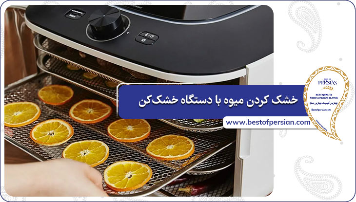 خشک کردن میوه با دستگاه خشک‌کن