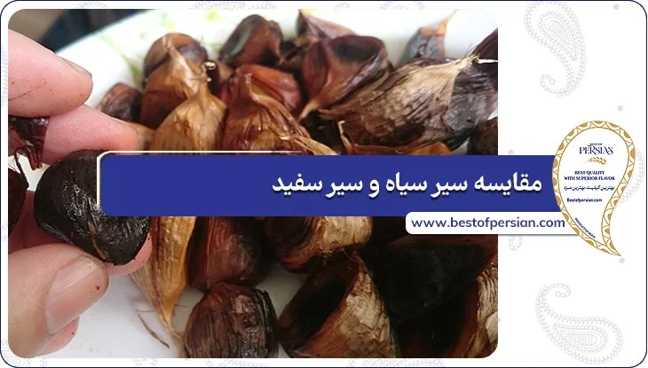 مقایسه سیر سیاه و سیر سفید