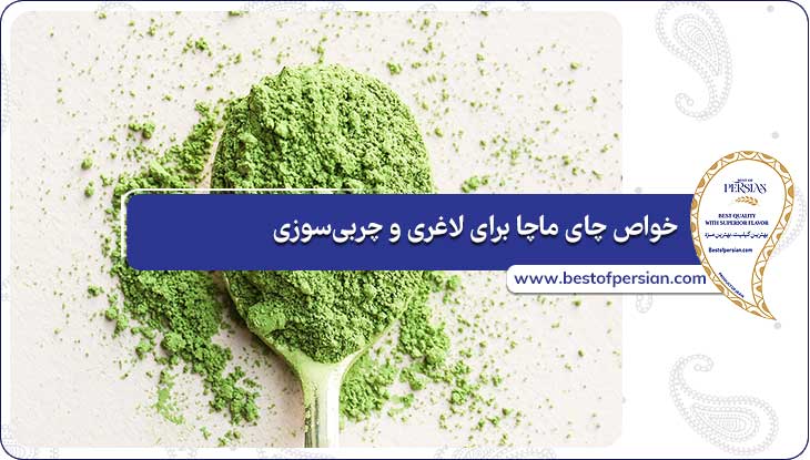 خواص چای ماچا برای لاغری و چربی‌سوزی