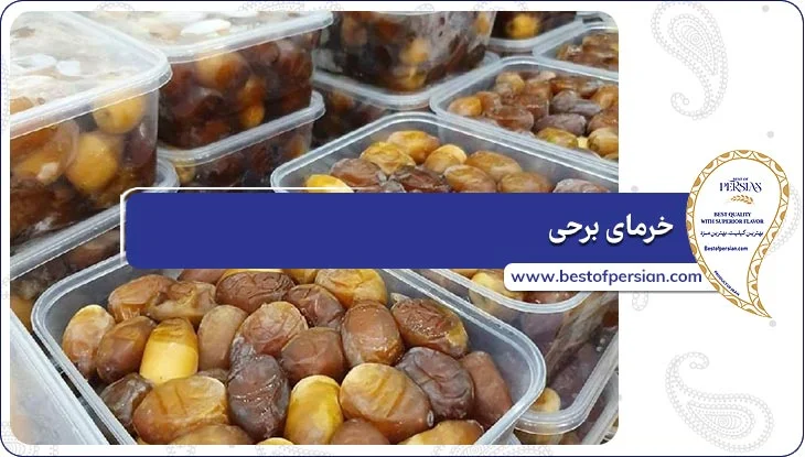 خرمای برحی