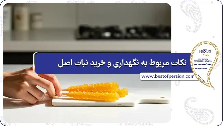 نکات مربوط به نگهداری و خرید نبات اصل