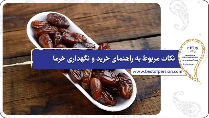 نکات مربوط به راهنمای خرید و نگهداری خرما