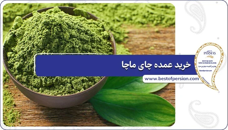 خرید عمده چای ماچا