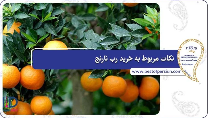 نکات مربوط به خرید رب نارنج